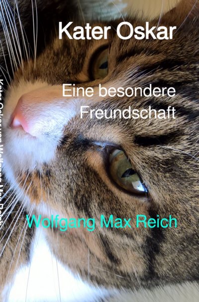 'Cover von Kater Oskar'-Cover