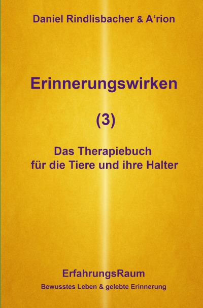 'Cover von Erinnerungswirken (3)'-Cover