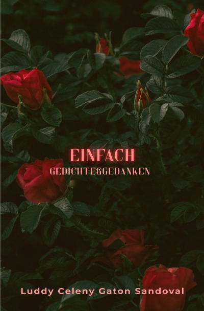 'Cover von Einfach'-Cover