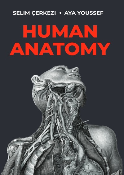 'Cover von Human Anatomy'-Cover