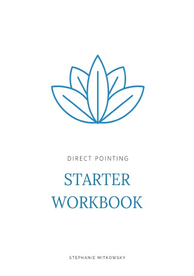'Cover von Direct Pointing – Starter Workbook'-Cover