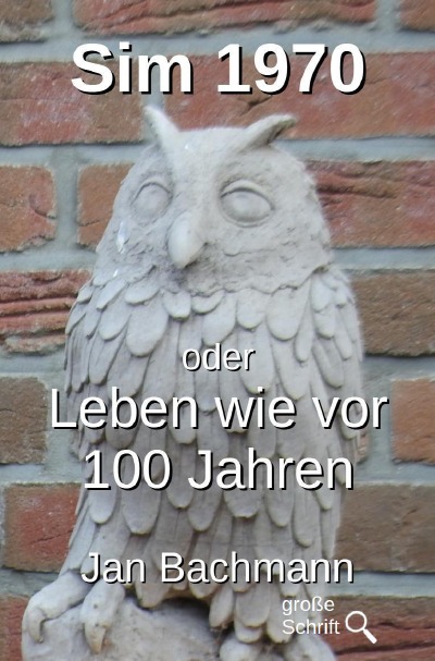 'Cover von Sim 1970'-Cover