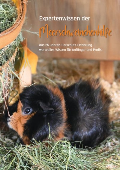 'Cover von Expertenwissen der Meerschweinchenhilfe'-Cover