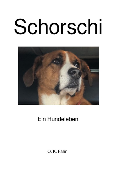 'Cover von Schorschi'-Cover
