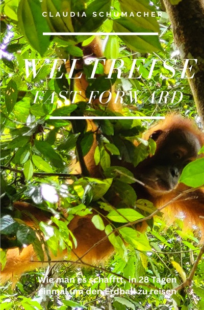 'Cover von WELTREISE fast forward'-Cover