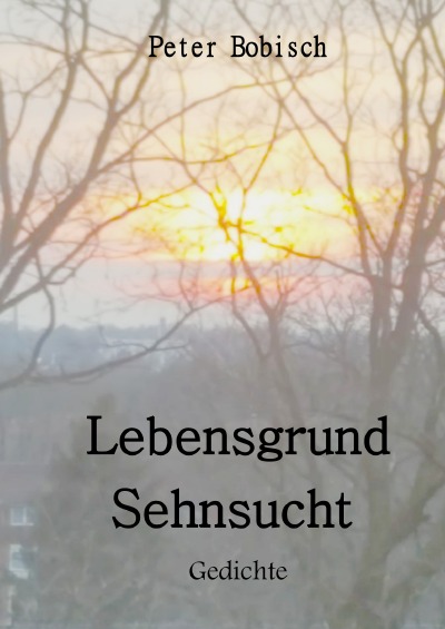 'Cover von Lebensgrund Sehnsucht'-Cover