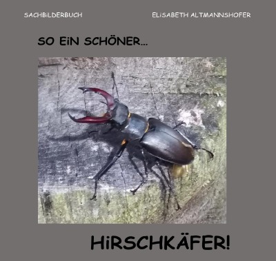 'Cover von So ein schöner… Hirschkäfer!'-Cover