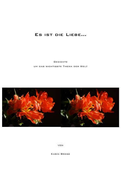 'Cover von Es ist die Liebe'-Cover