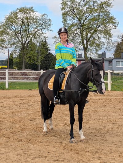 'Cover von Ich werde euch finden'-Cover