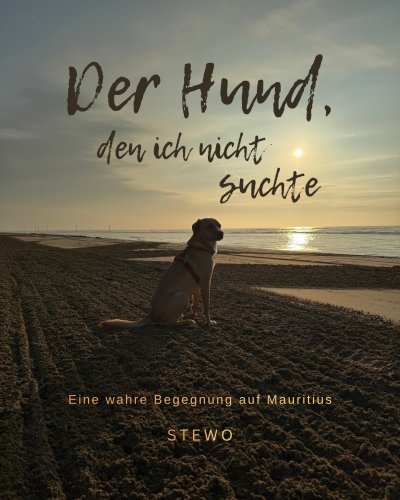 'Cover von Der Hund, den ich nicht suchte – Eine wahre Begegnung auf Mauritius'-Cover