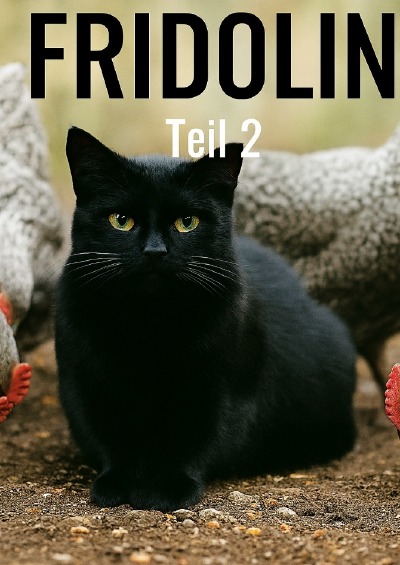 'Cover von Fridolin'-Cover