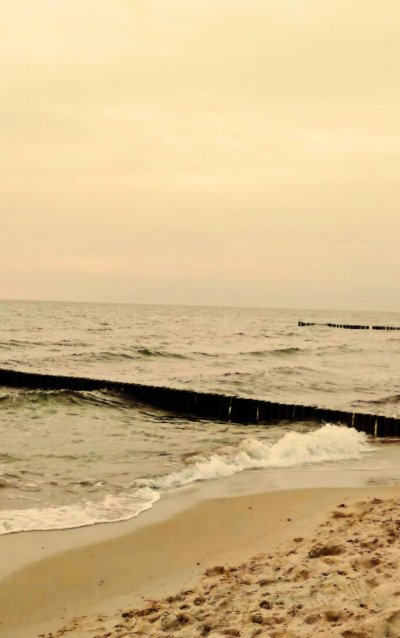 'Cover von Nur ein paar Zeilen'-Cover