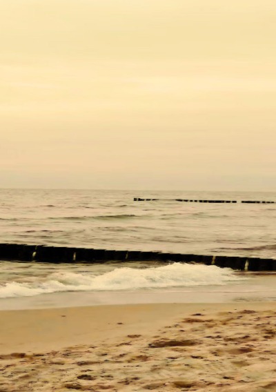 'Cover von Nur ein Paar Zeilen'-Cover