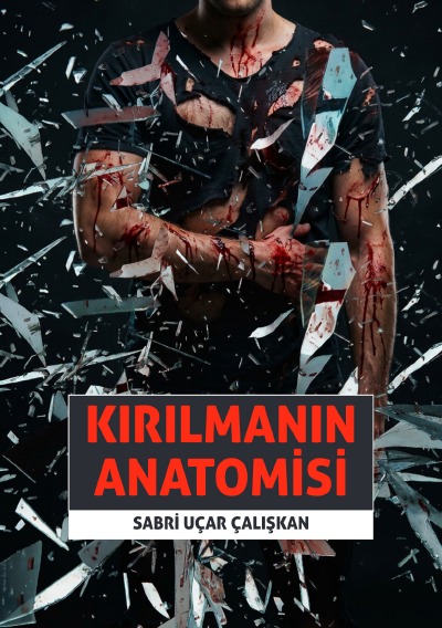 'Cover von Kırılmanın anatomisi'-Cover