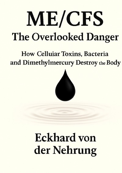 'Cover von ME/CFS – The Overlooked Danger'-Cover