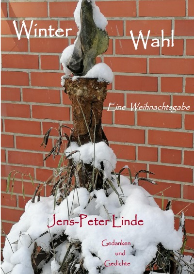'Cover von Winter Wahl'-Cover