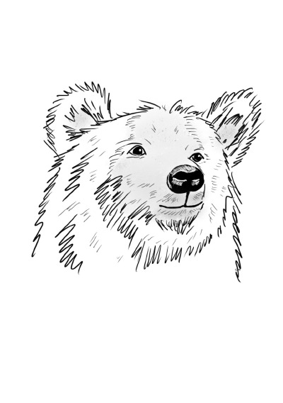 'Cover von Notizheft Inky Animals Bär'-Cover