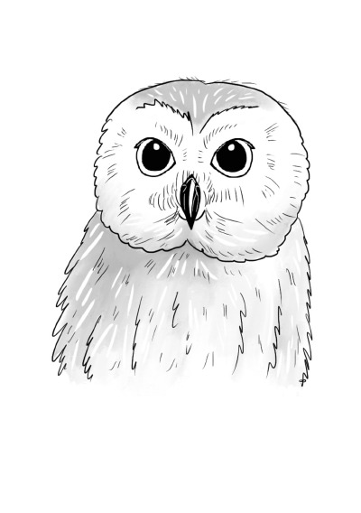 'Cover von Notizheft Inky Animals Eule'-Cover