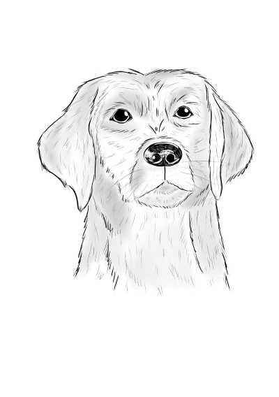 'Cover von Notizheft Inky Animals Hund'-Cover