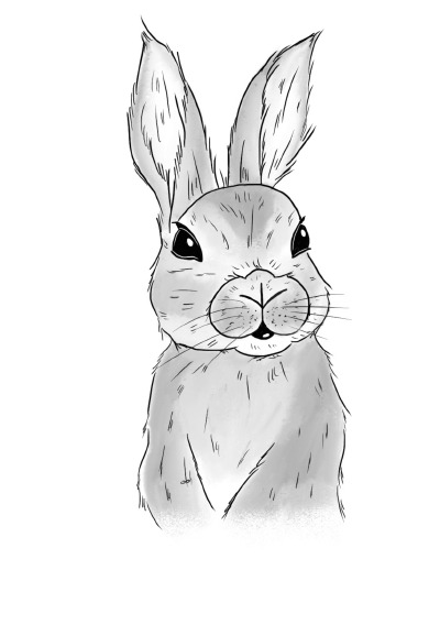 'Cover von Notizheft Inky Animals Kaninchen'-Cover