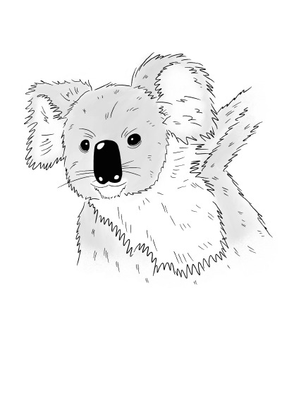 'Cover von Notizheft Inky Animals Koala'-Cover