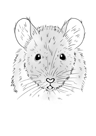 'Cover von Notizheft Inky Animals Maus'-Cover