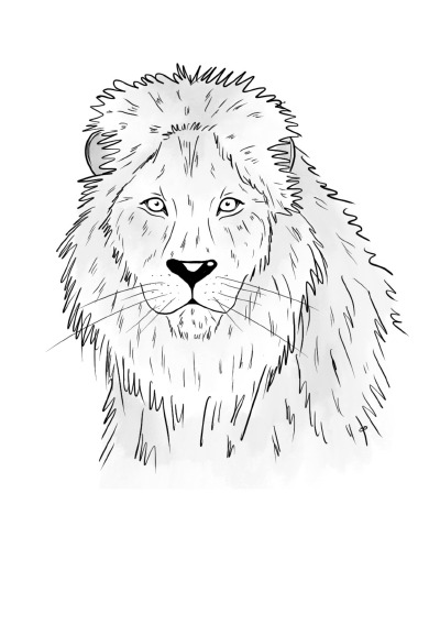 'Cover von Notizheft Inky Animals Löwe'-Cover