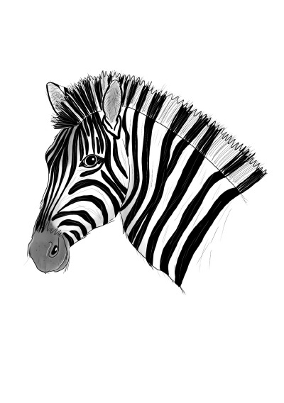 'Cover von Notizheft Inky Animals Zebra'-Cover