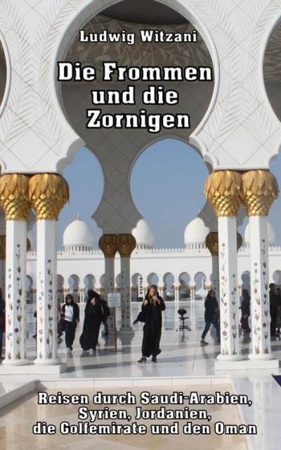 'Cover von Die Frommen und die Zornigen'-Cover