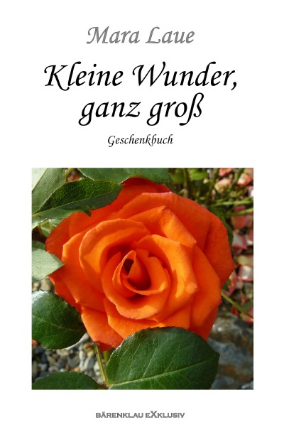 'Cover von Kleine Wunder, ganz groß – Ein Geschenkbuch'-Cover