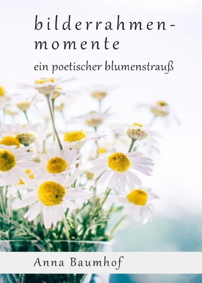 'Cover von bilderrahmenmomente'-Cover