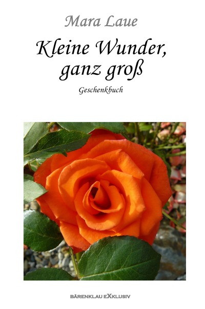 'Cover von Kleine Wunder, ganz groß – Ein Geschenkbuch'-Cover