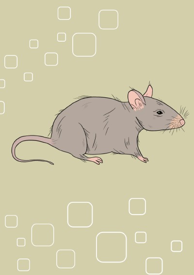 'Cover von Notizheft Maus'-Cover