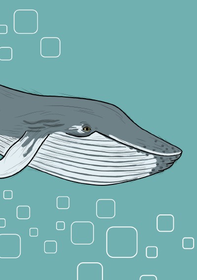 'Cover von Notizheft Wal'-Cover