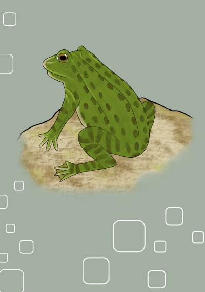 'Cover von Notizheft Frosch'-Cover