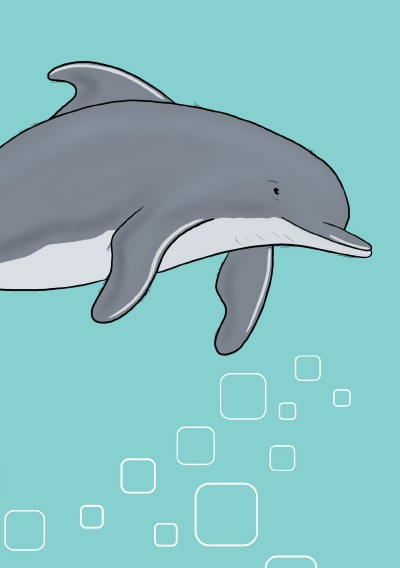 'Cover von Notizheft Delfin'-Cover