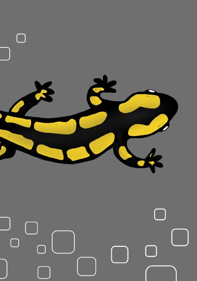 'Cover von Notizheft Salamander'-Cover