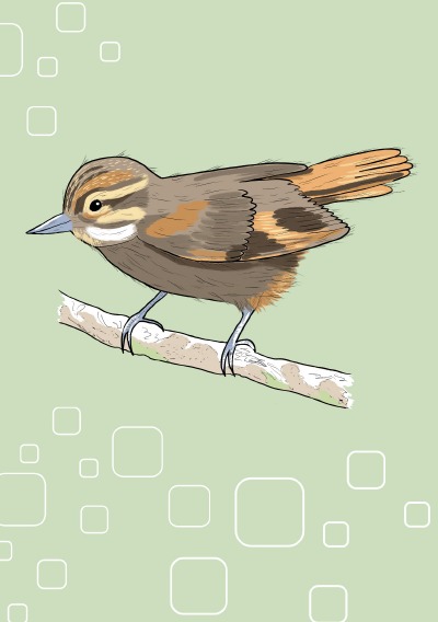 'Cover von Notizheft Vogel'-Cover