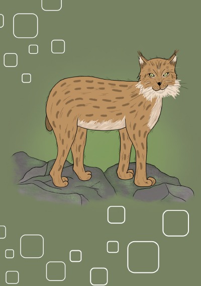 'Cover von Notizheft Luchs'-Cover