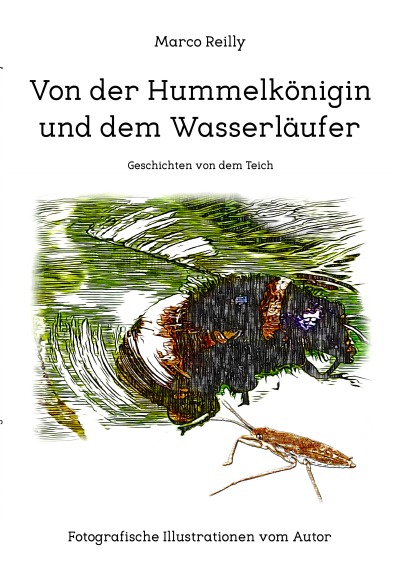 'Cover von Von der Hummelkönigin und dem Wasserläufer'-Cover