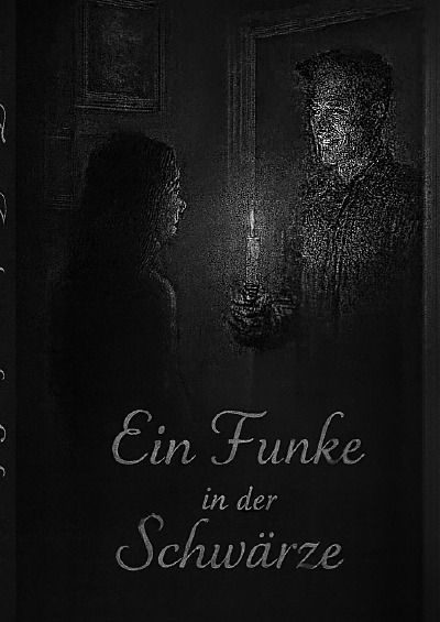 'Cover von Ein Funke in der Schwärze'-Cover