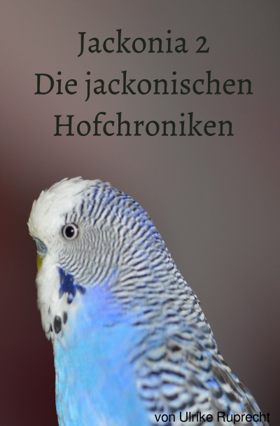 'Cover von Jackonia 2'-Cover