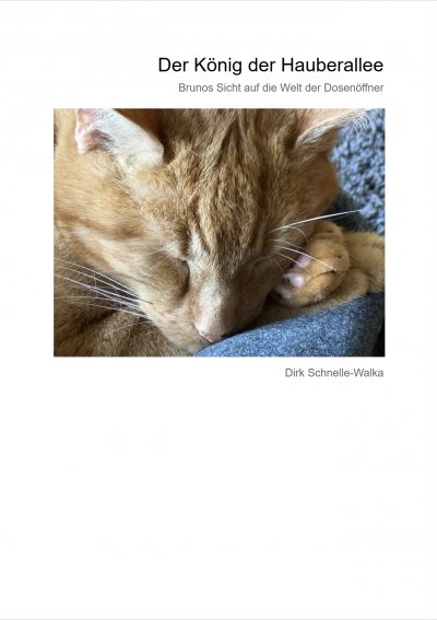 'Cover von Der König der Hauberallee'-Cover