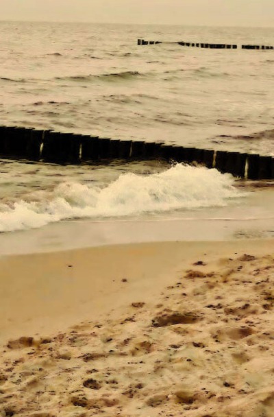 'Cover von Nur ein Paar Zeilen'-Cover