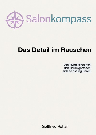 'Cover von Salonkompass – Das Detail im Rauschen'-Cover