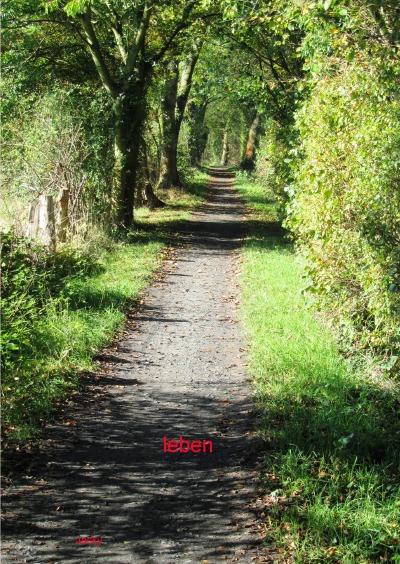 'Cover von leben'-Cover