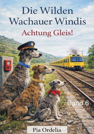 'Cover von Achtung Gleise! Band 6'-Cover