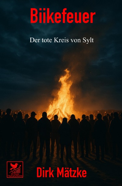 'Cover von Biikefeuer'-Cover