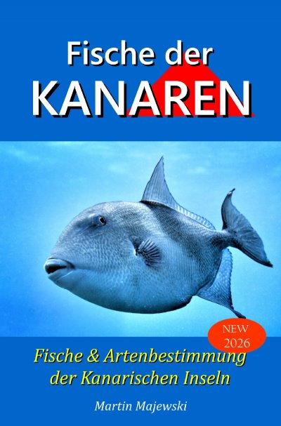 'Cover von Fische der Kanarischen Inseln,  Fisch und Artenbestimmung der Kanaren'-Cover