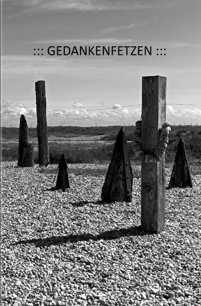 'Cover von Gedankenfetzen'-Cover